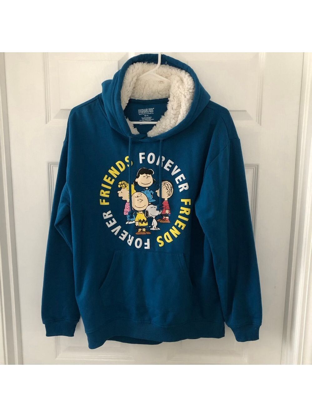 PEANUTS Friends Forever Hoodie Juniors Size Medium (7-9). - Picture 12 of 12